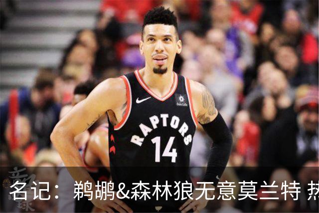 名记：鹈鹕&森林狼无意莫兰特 热火也不急于尝试其与字母哥的搭档