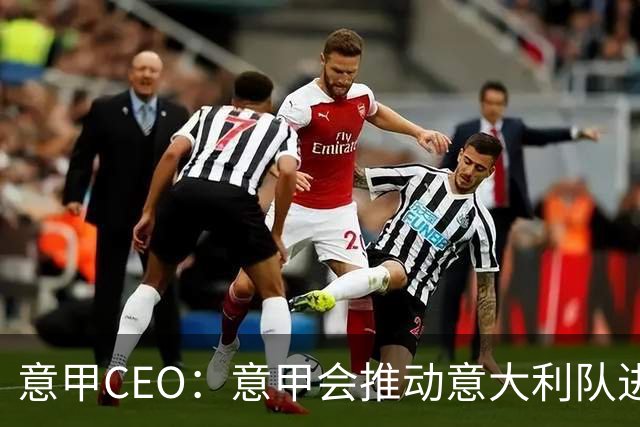 意甲CEO：意甲会推动意大利队进步 国家队低迷原因得追溯到20年前