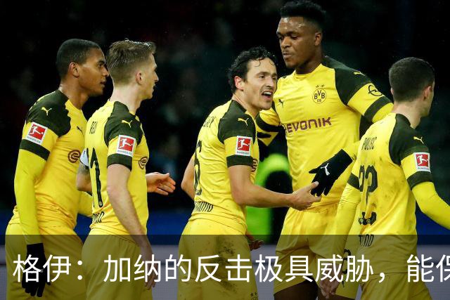 格伊：加纳的反击极具威胁，能保持零封也是积极的一面